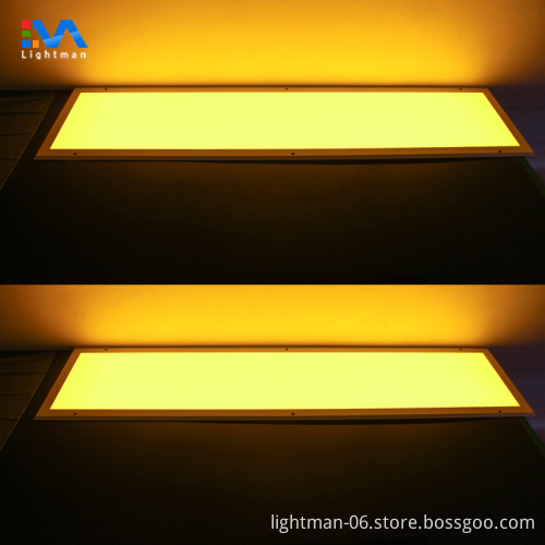 Dust-Free Plant Cleanroom UV-Free LED Panel Light 300x1200 295x1195mm